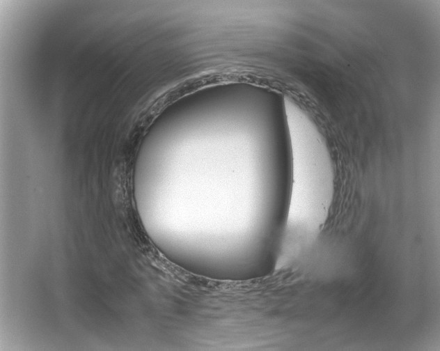 X0000067910773200604131108