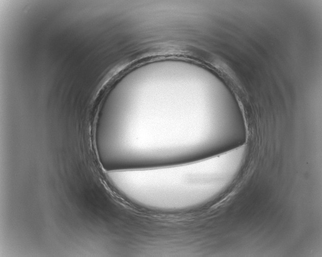 X0000067910781200604131107
