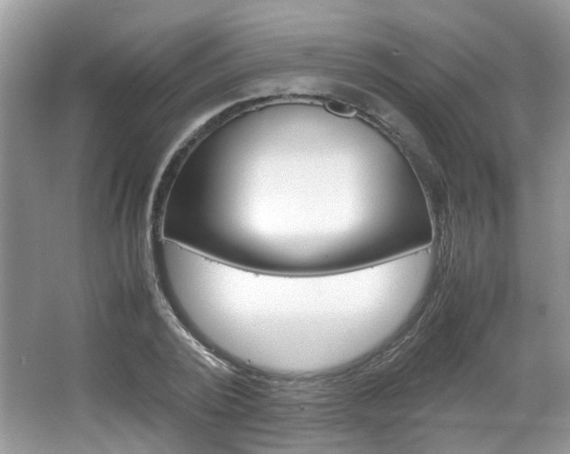 X0000067910784200604131107