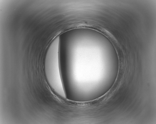X0000067910793200604131107