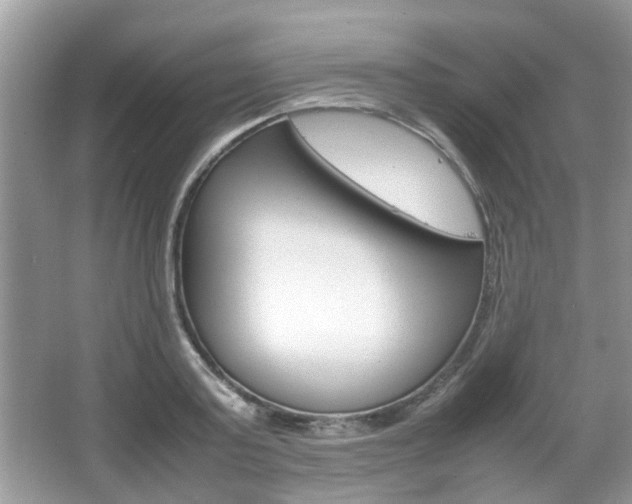 X0000067910795200604131107