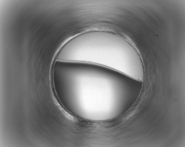 X0000067910803200604131107