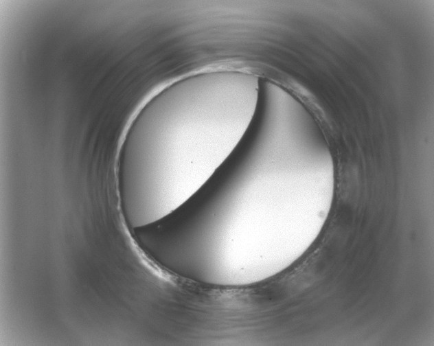 X0000067910808200604131107