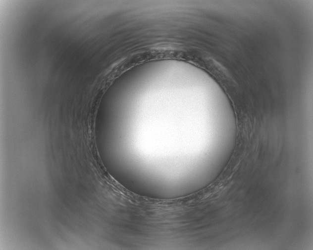 X0000067910821200604131106