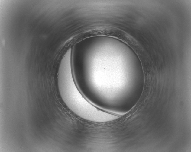 X0000067910822200604131106