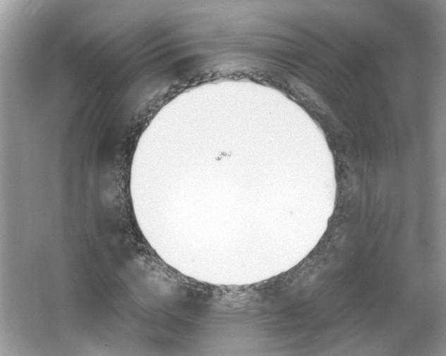 X0000067910824200604131106