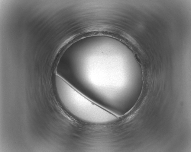 X0000067910826200604131106