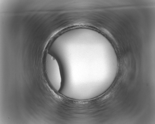X0000067910831200604131106