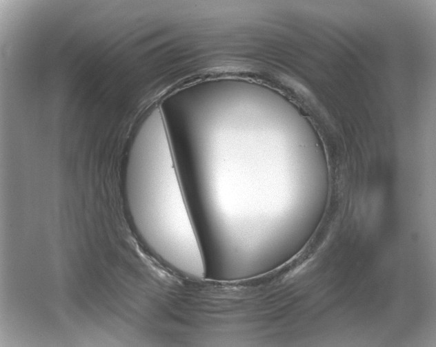 X0000067910833200604131106