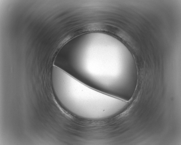X0000067910841200604131106