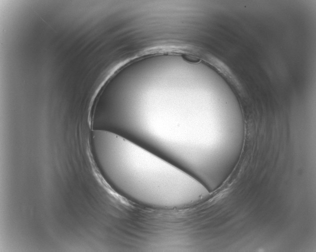 X0000067910844200604131106