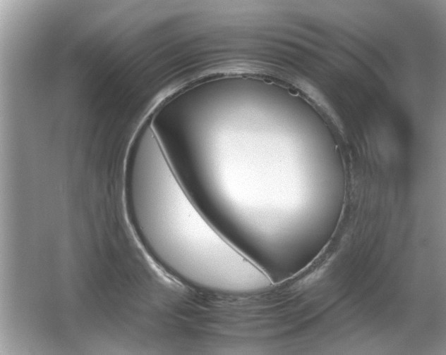 X0000067910845200604131106