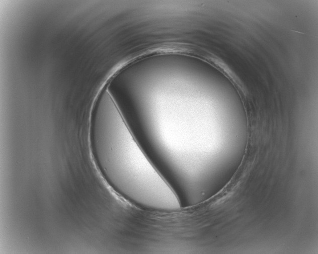 X0000067910853200604131107
