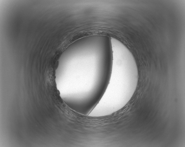 X0000067910867200604131106