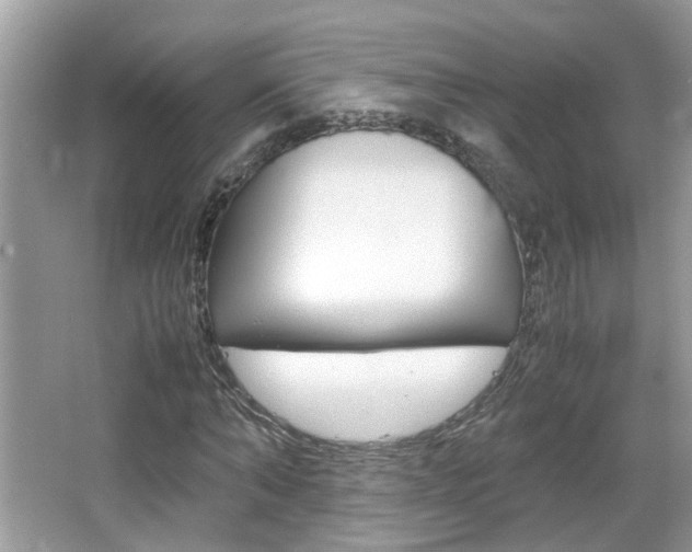 X0000067910870200604131106