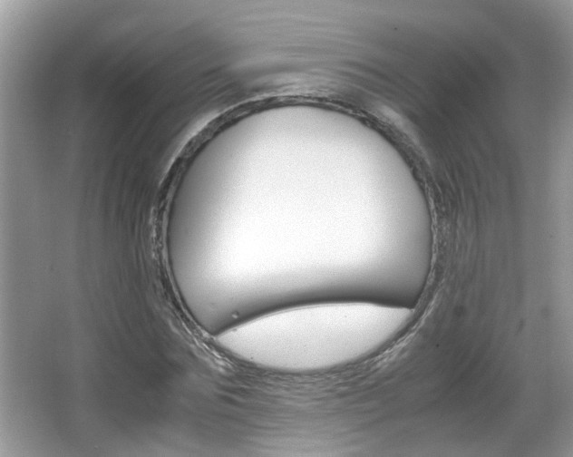 X0000067910875200604131106