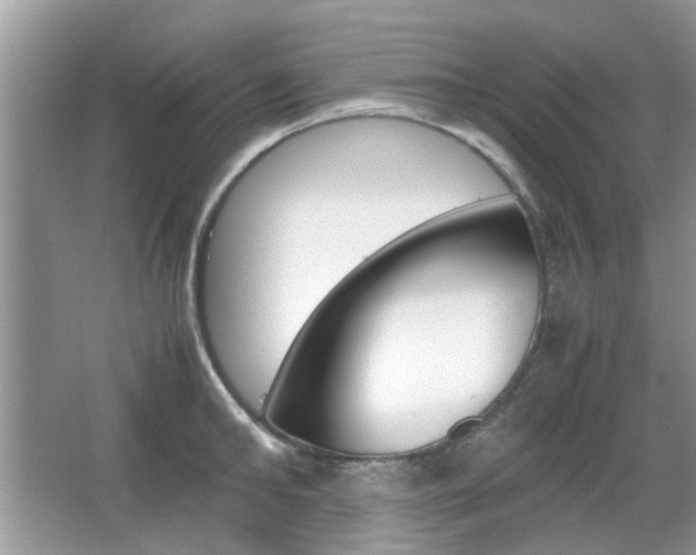 X0000067910902200604131105