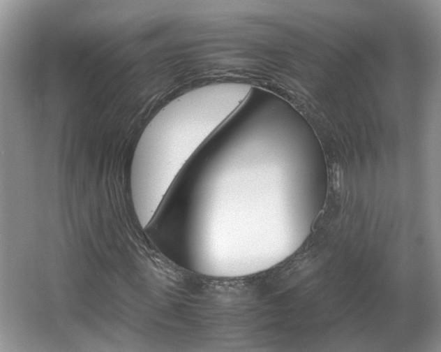 X0000067910915200604131104