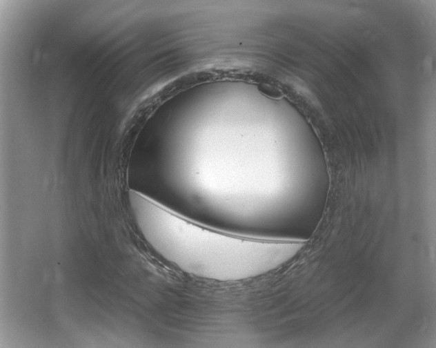 X0000067910920200604131104