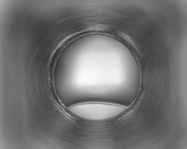 X0000067910923200604131105