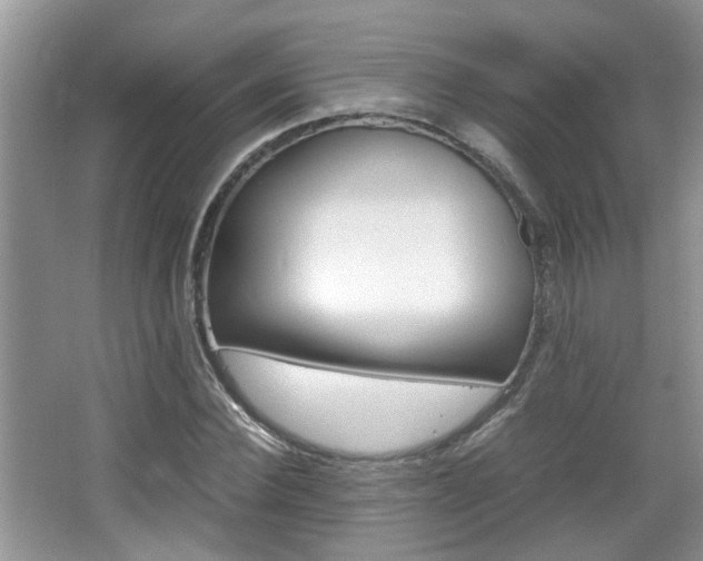 X0000067910924200604131105
