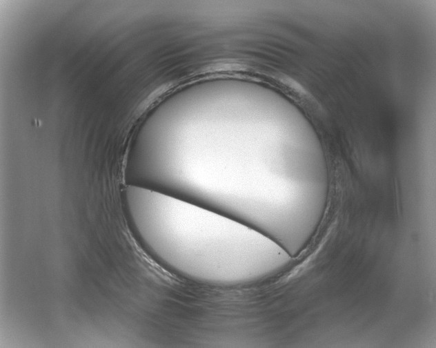 X0000067910929200604131105