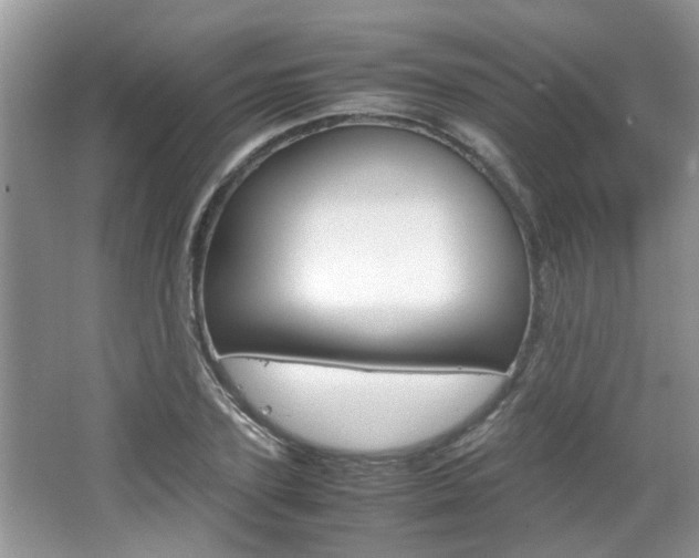 X0000067910931200604131105