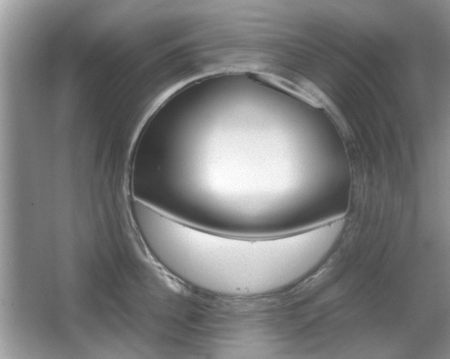 X0000067910956200604131105