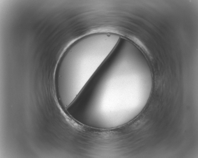 X0000067910988200604131104