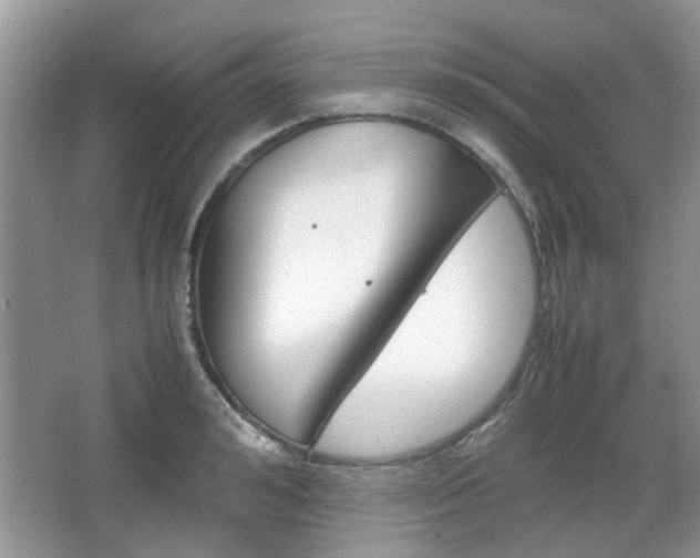 X0000067910992200604131104