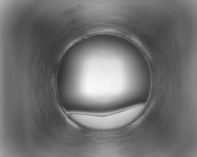 X0000067911001200604131104