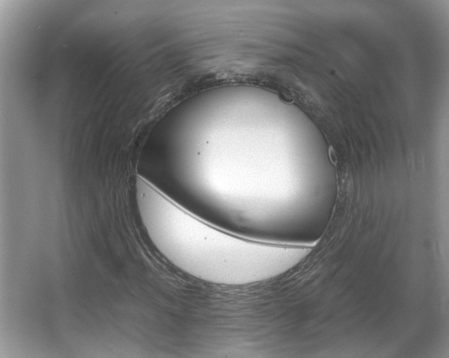 X0000067911012200604131103