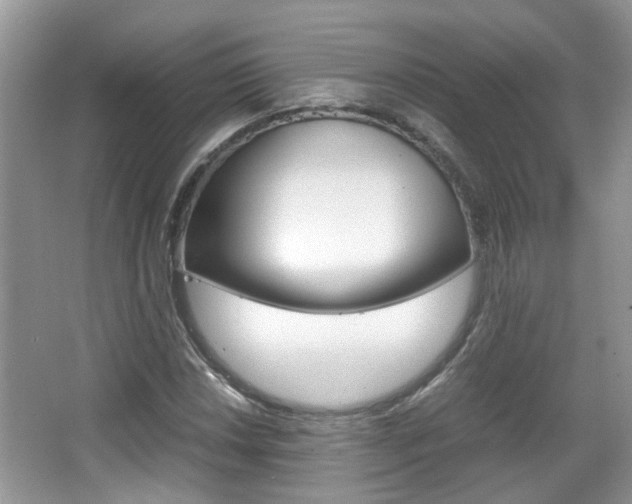 X0000067911018200604131103