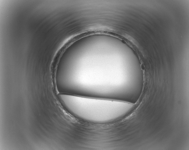X0000067911022200604131103