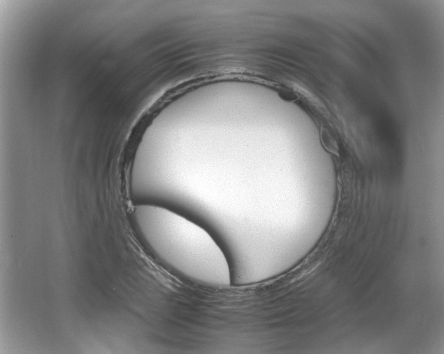 X0000067911023200604131103