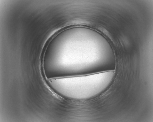 X0000067911024200604131103