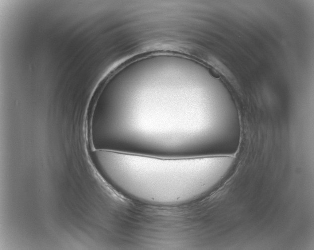 X0000067911028200604131103