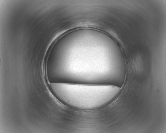 X0000067911032200604131103