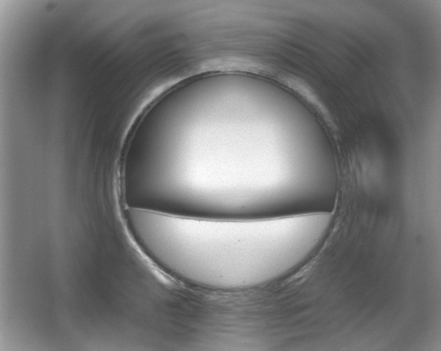X0000067911040200604131103