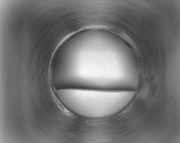 X0000067911044200604131103