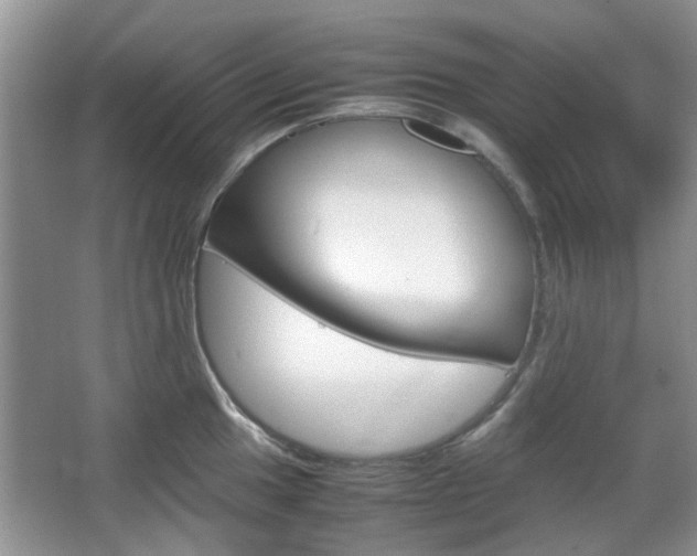 X0000067911049200604131103