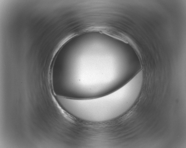 X0000067911050200604131103