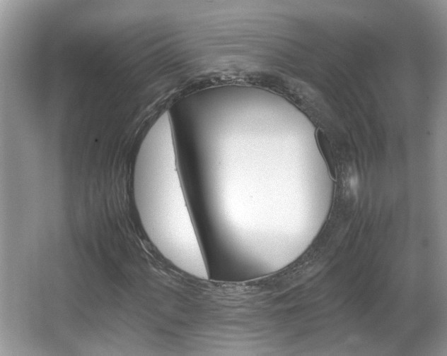 X0000067911060200604131103