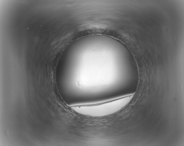 X0000067911061200604131103