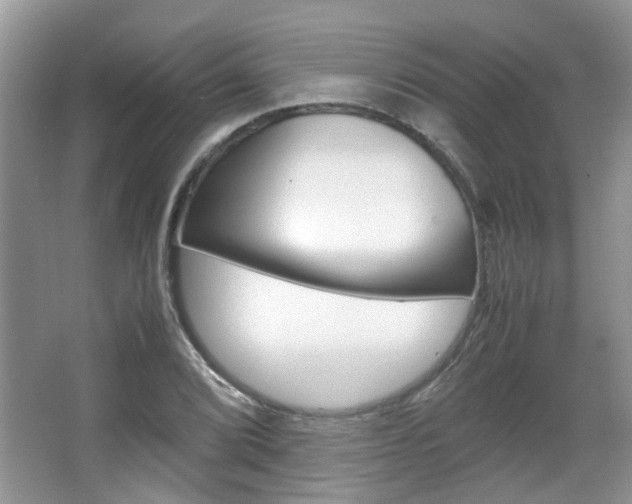 X0000067911072200604131102