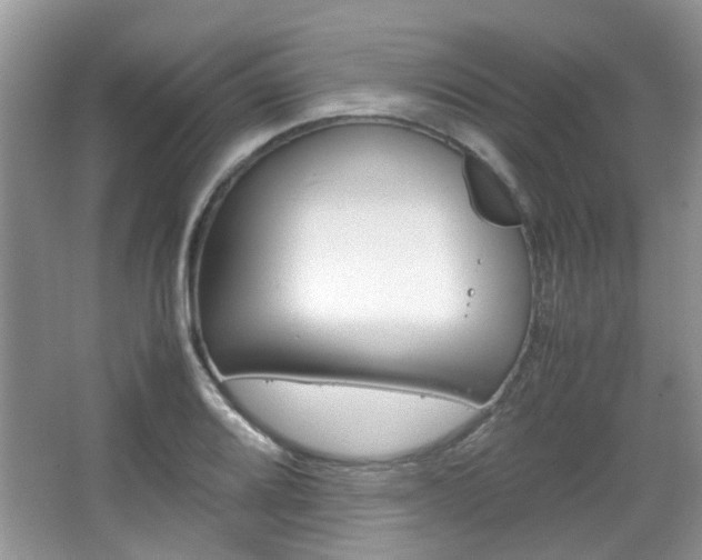 X0000067911080200604131102