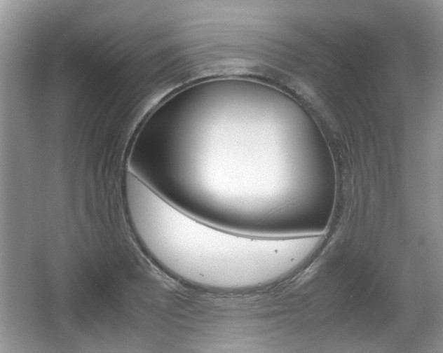 X0000067911081200604131102