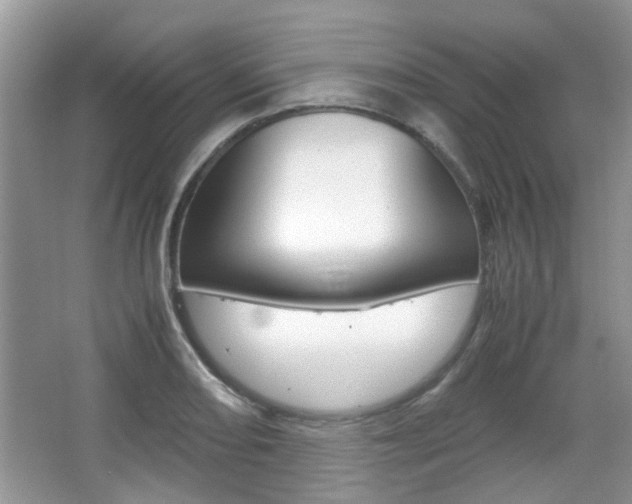 X0000067911082200604131102