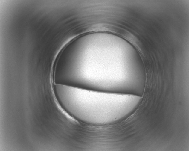 X0000067911084200604131102