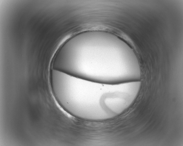 X0000067911095200604131102